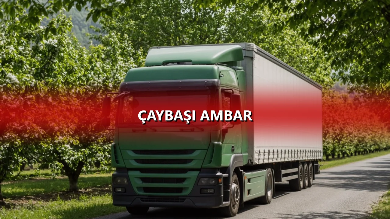 Çaybaşı Ambar
