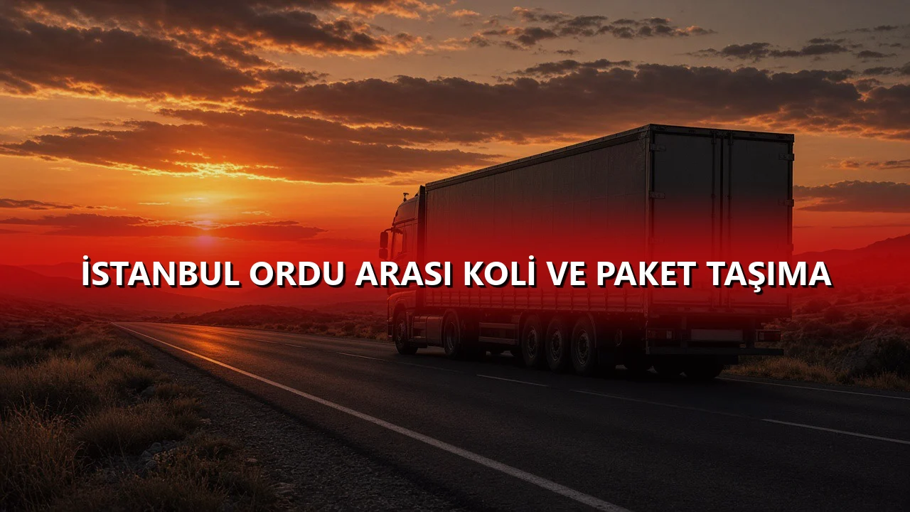 İstanbul Ordu Arası Koli ve Paket Taşıma
