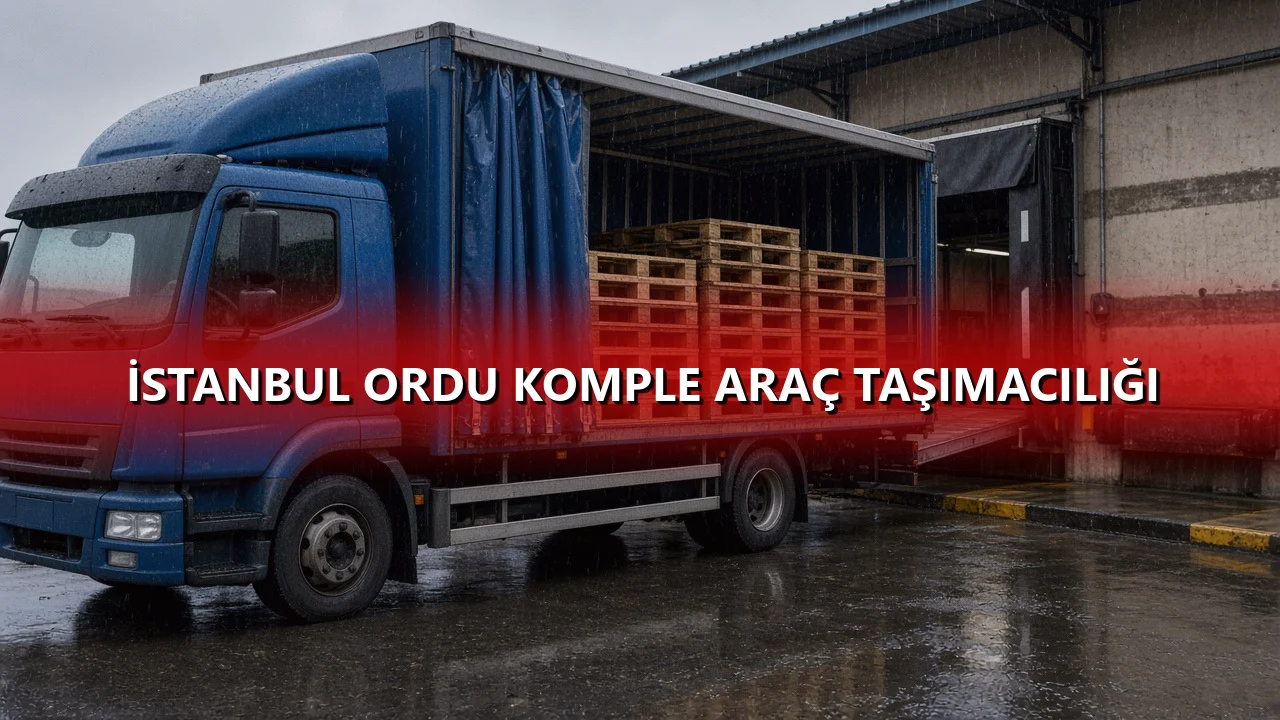 İstanbul Ordu Komple Araç Taşımacılığı